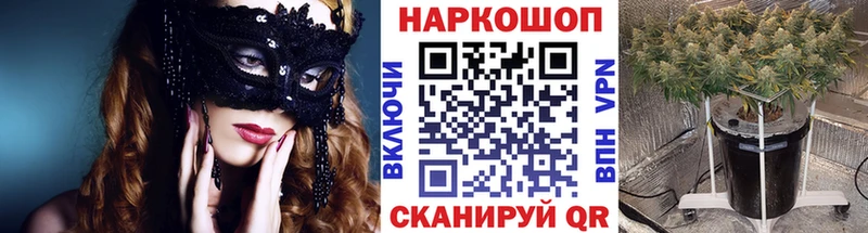 Где продают наркотики Пестово Псилоцибиновые грибы  Амфетамин  МАРИХУАНА  Кетамин  Cocaine  Метамфетамин 