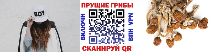 Галлюциногенные грибы мухоморы Пестово