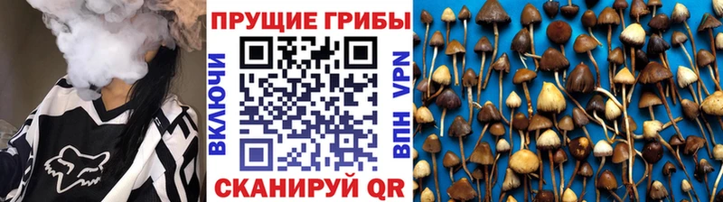 Псилоцибиновые грибы Magic Shrooms  купить  цена  Пестово 